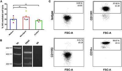 β-Glucan-Induced IL-10 Secretion by Monocytes Triggers Porcine NK Cell Cytotoxicity